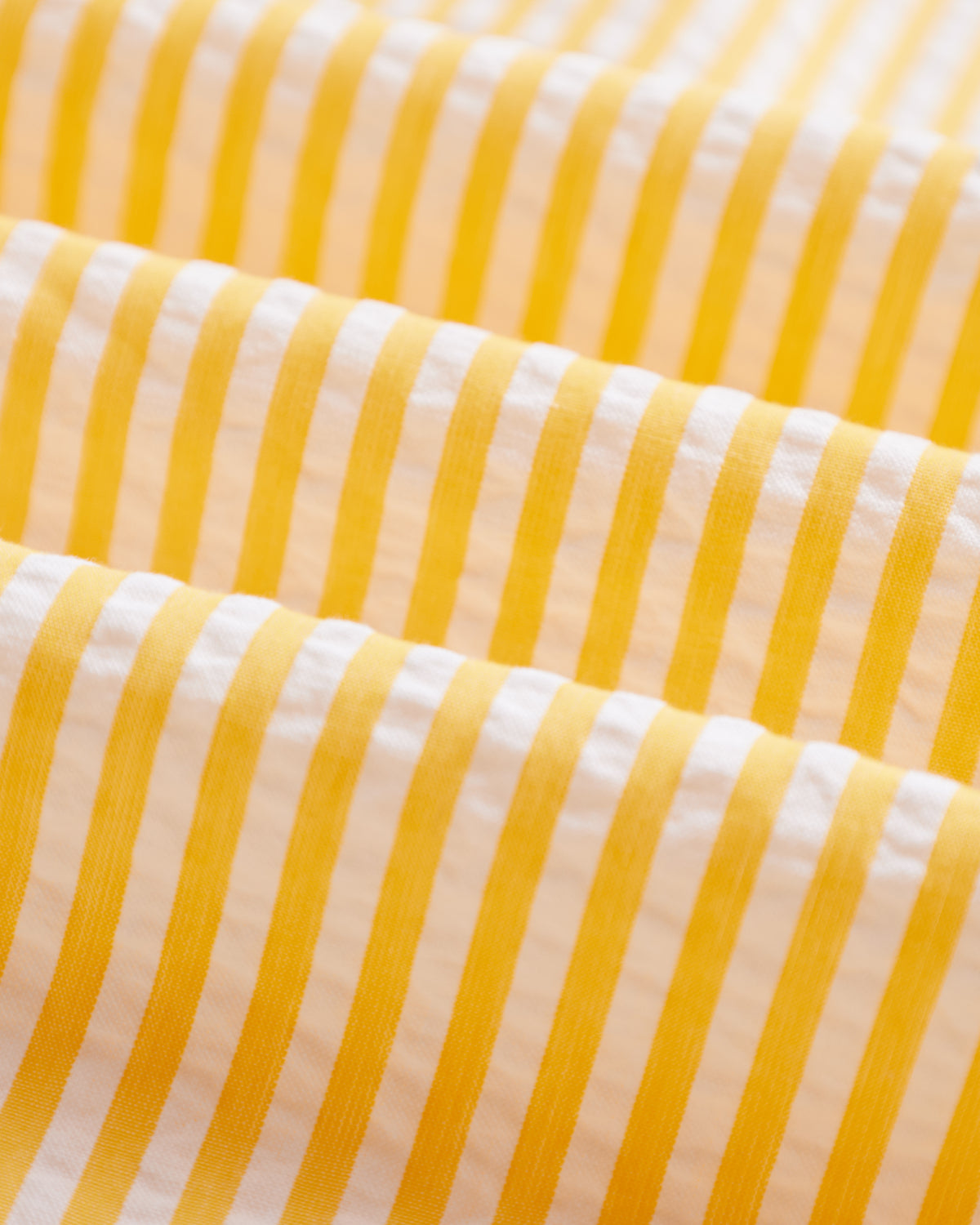 ATLANTICO STRIPE - YELLOW