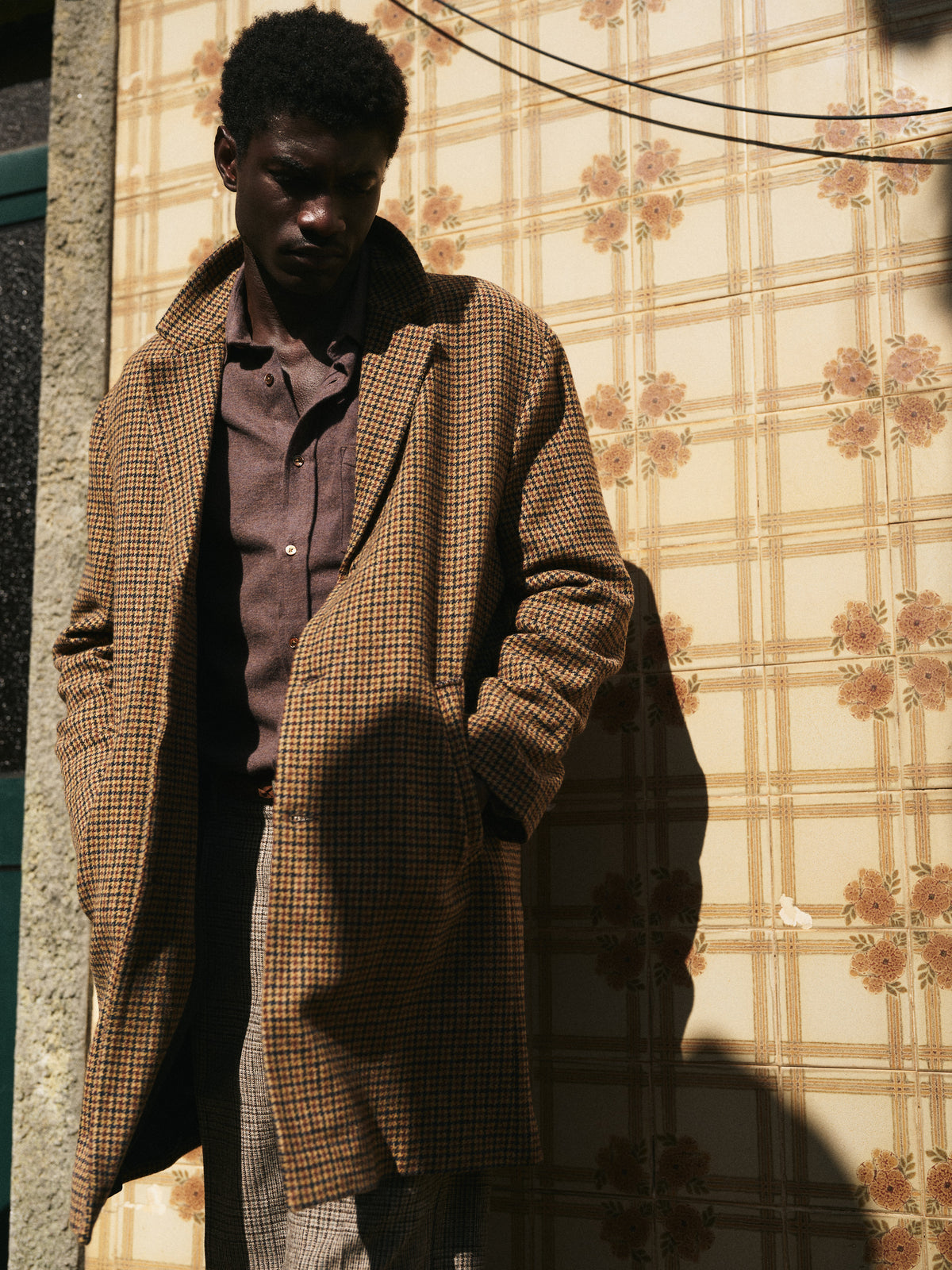Suavis - Brown